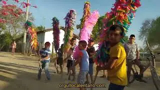 Las Picas bailando en Pineda, Guerrero #tierracaliente
