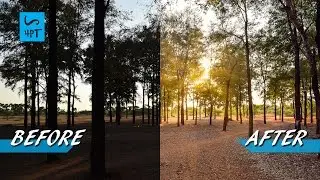 How to Post Process a 