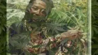 PETER BROGGS - INTERNATIONAL FARMER