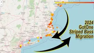 2024 Striped Bass Migration AnimSocial