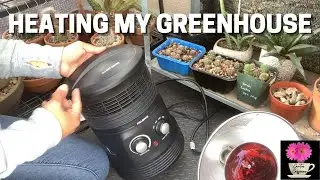 How I Heat my Greenhouse | Winter Set-up /#cactus #succulents