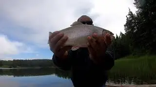 Giant Brook Trout In A Tiny Lake | Vlogger John/Cypress Hill Provincial park fishing