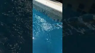 Refreshing shorts#swimmingpool #pool#water