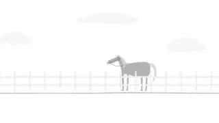 Horse Health Week -  Isolation