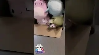 We Ordered an Ultra Rare Squishmallow!