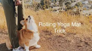 Rolling Yoga Mat Trick