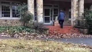 German Shepard Goes After Thief