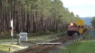 CP CARGA SA - BOMBARDIER 1973
