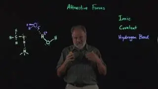 Attractive Forces