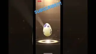 Rockruff hatch!!!Pok&eacute;mon go