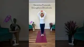 Shoulder Pain & Tech Neck? Simple Yoga Exercise -Straighten Posture (Scapular Slides)✨ #shoulderpain