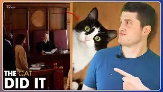 The Cat Did It Defense: Crazy Legal History!
