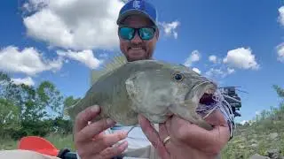 Check out this NEW Local Bait Company Blind Squirrel Baits