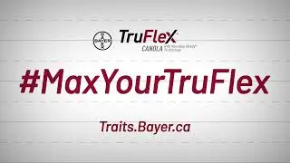 TruFlex&trade; Canola with Roundup Ready&reg; Technology | Optimal Spray Timing and Rates
