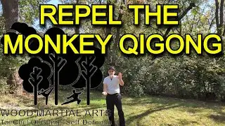 Repel the Monkey Qigong | WOOD MARTIAL ARTS 2025