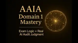AAIA Domain 1: Why Stakeholder Conflict Creates Risk