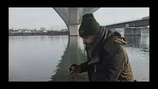 pecanje krupne mrene na feeder tim ribolovacke price
