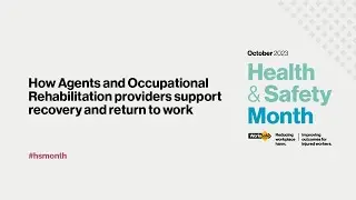 How agents and occupational rehabilitation providers support recovery and return to work