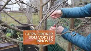 Bli medlem og f&aring; en greinsag