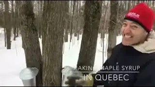 Sacha Blanchet - How I make REAL maple syrup in Quebec, 2017