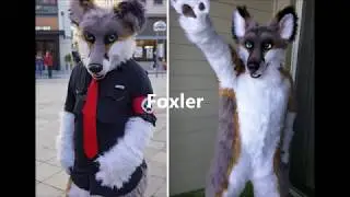 Top 10 of the best furries of all times