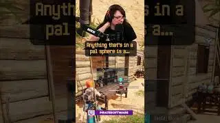Palworld Moment