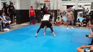 Pit Cosenza Torneo Gracie Barra 2014