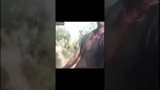 Man looks for his lost boyfriend Biktor/Big Thor during a camping trip... (Sad Video) 😭