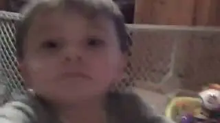 Video 31