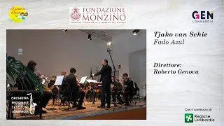 Tjako van Schie: Fado azul
