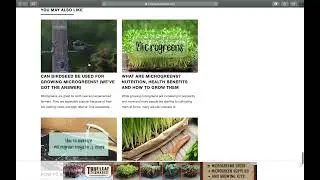 How To Diagnose Root Rot