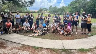 Corgi Meet Up Jacksonville