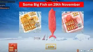 Ice Fishing Evolution | Some Big Fish on Red and Yellow Bonus | 2025-11-29