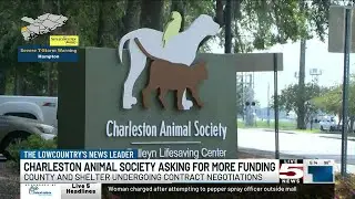 VIDEO: Charleston Animal Society calling on Charleston County for more funding
