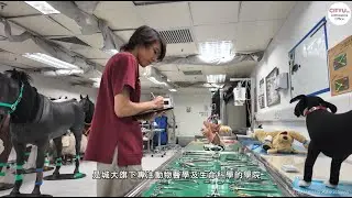 Student Sharing: The Jockey Club College of Veterinary Medicine and Life Sciences