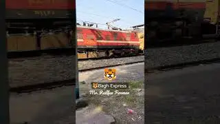 🐯 Bagh Express #shorts #viral #trending #indianrailways