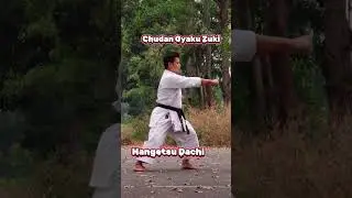 Hangetsu Waza 1  #karate #quanghaindk #martialarts #quanghai #kata #shortvideo #shorts