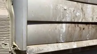 A Wall Vent Infested With Bird Mites