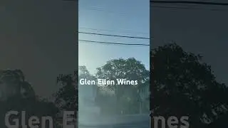 Best Wines in Glen Ellen