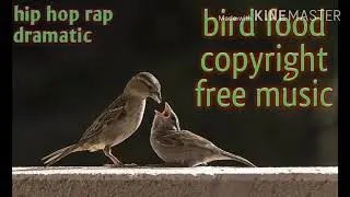 #Copyrightsfree music #bird food