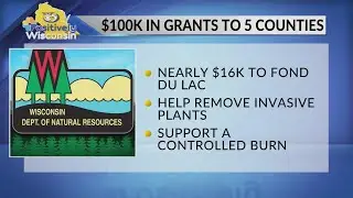 DNR: $100K for Wildlife Restoration, work planned in Fond Du Lac County