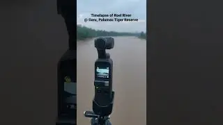 Timelapse of Koel River at Garu, Palamau Tiger Reserve.