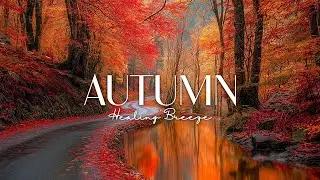 4K Cozy Autumn Vibes, Enchanting Autumn Forests 🍁 With Beautiful Piano Music & Fall Foliage