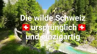 🇨🇭Val Ferrera Die wilde Schweiz  #home #nature #travel #swiss #switzerland #my #mychannel #schweiz