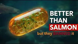 More Omega-3 Than Salmon: Why Don't You Know About It?