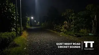 Quiet Village Road at Night | Crickets Sound & Distant Traffic Ambience