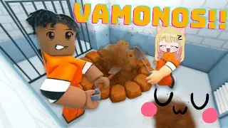 Jugando Dig To Escape