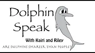 Dolphin Speak Episode 3: Are dolphins smarter than people?