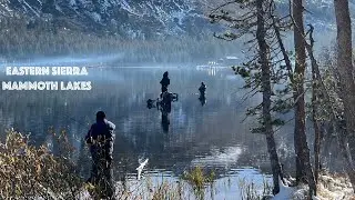 Fishing in Eastern Sierras Mammoth Lakes con @DEPESCACONELJUNIOR503 @pesca503usa