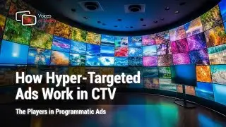 NETINT - Unlocking the Secrets of Programmatic Advertising: What You Need to Know About DSPs & SSPs